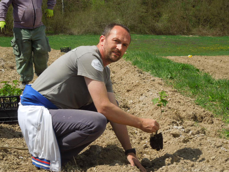 Integralni pristup u zaštiti životne sredine