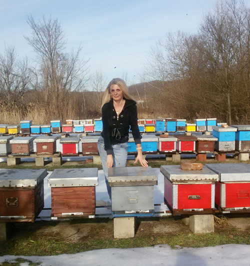 Pčelarstvo kao životno opredeljenje