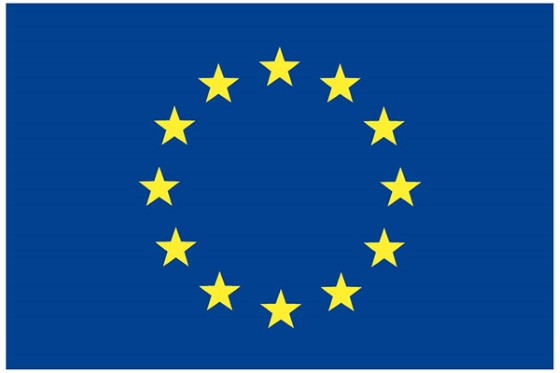 EU logo