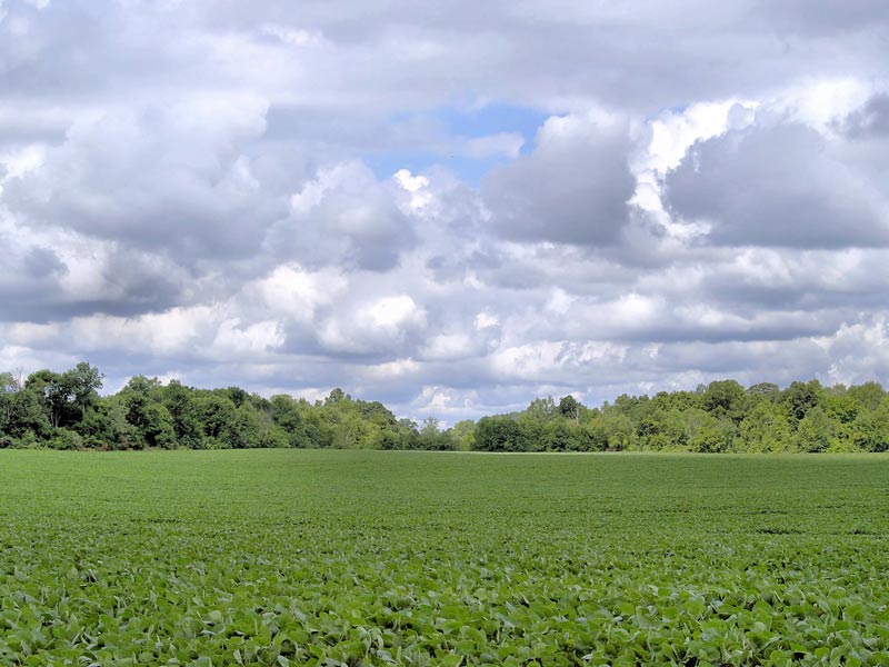 Agricultural