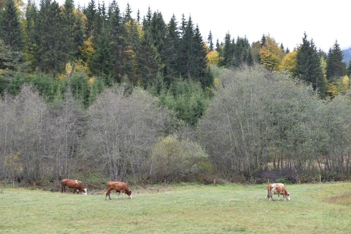 Početak implementacije projekta “Ambalažnom otpadu nije mesto u zaštićenom prirodnom dobru – Zbogom otpadu“ Početak implementacije projekta “Ambalažnom otpadu nije mesto u zaštićenom prirodnom dobru – Zbogom otpadu“